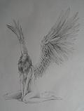 AngelWings_shaded_edit.jpg